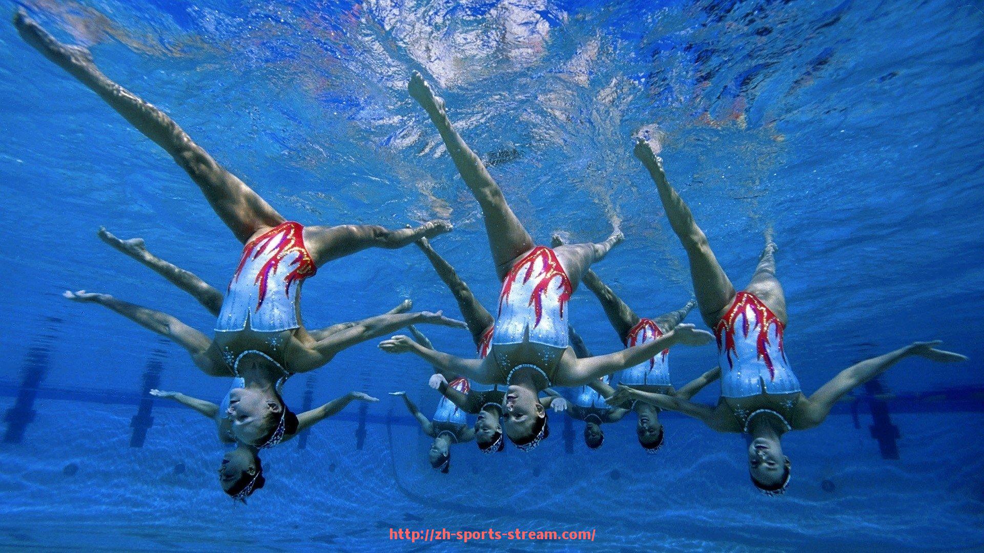 体育直播-世俱杯赛事主办国与国际足联联合声明发布机制的流程设计